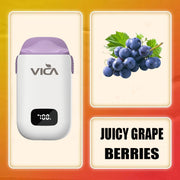 VICA AD10 Interchangeable Fruit Flavors