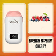 VICA AD10 Interchangeable Fruit Flavors