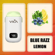 VICA AD10 Interchangeable Fruit Flavors